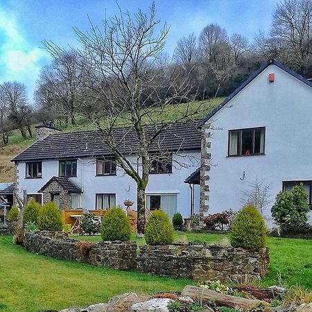 Neuadd Wen Guest House カーマーゼン エクステリア 写真