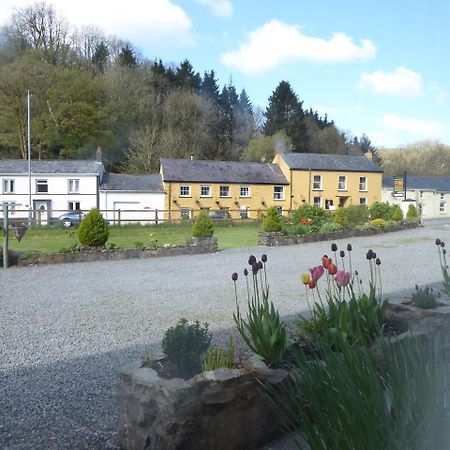 Neuadd Wen Guest House カーマーゼン エクステリア 写真