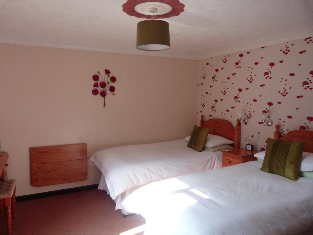 Neuadd Wen Guest House カーマーゼン エクステリア 写真