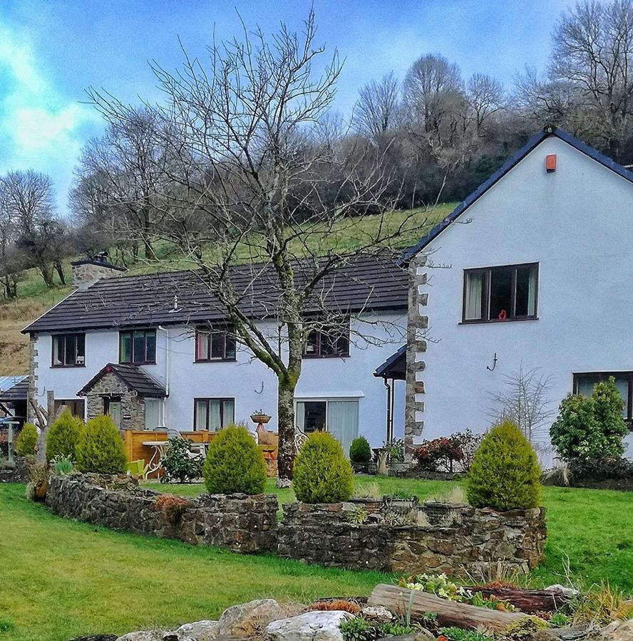 Neuadd Wen Guest House カーマーゼン エクステリア 写真