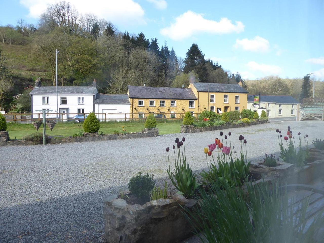 Neuadd Wen Guest House カーマーゼン エクステリア 写真