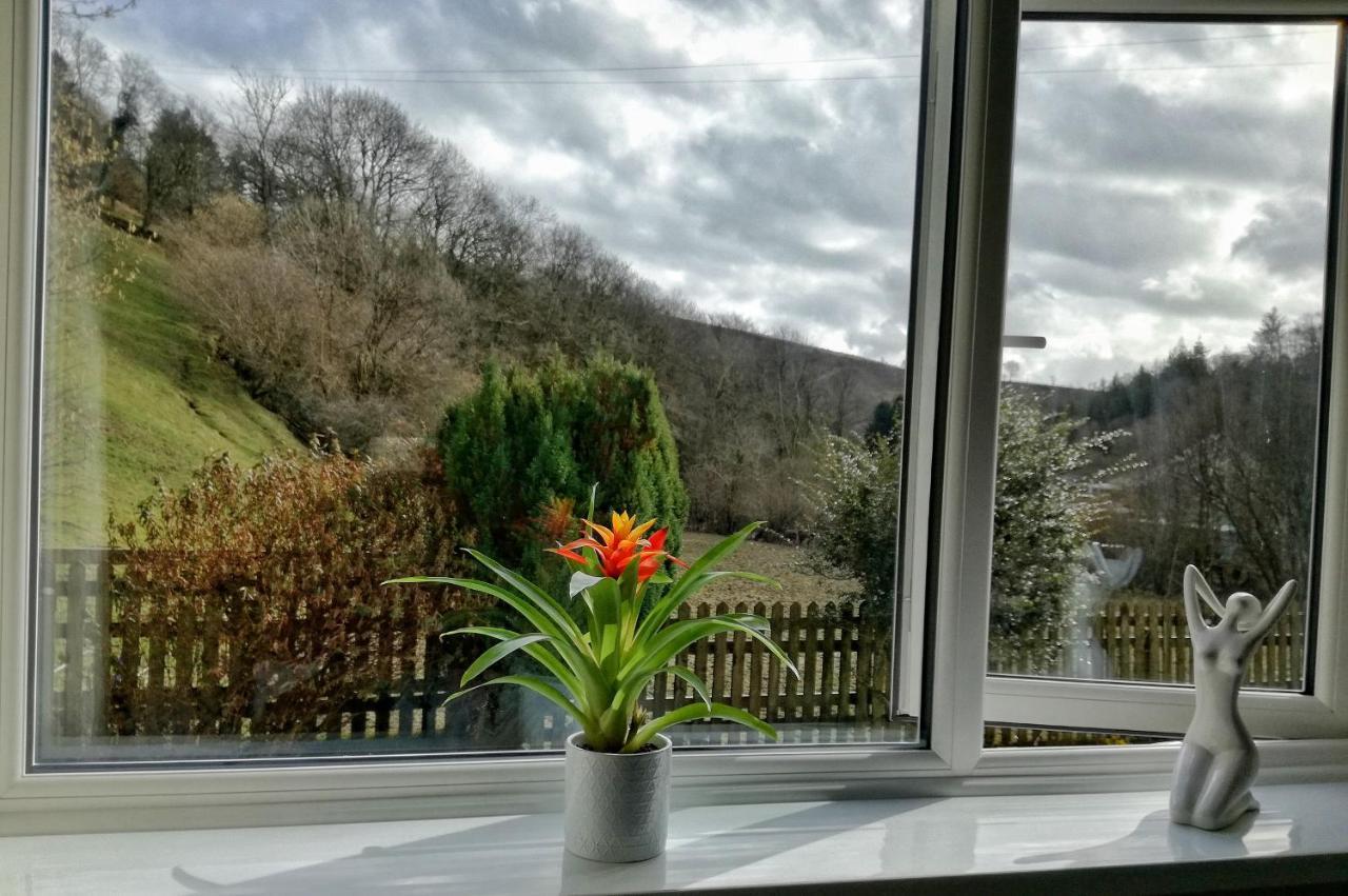 Neuadd Wen Guest House カーマーゼン エクステリア 写真